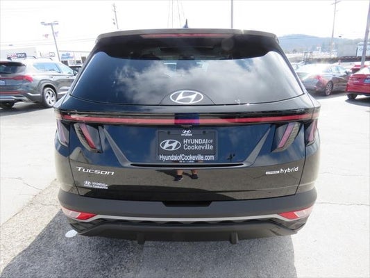 2024 Hyundai TUCSON HYBRID SEL Convenience in Cookeville, TN - Hyundai of Cookeville