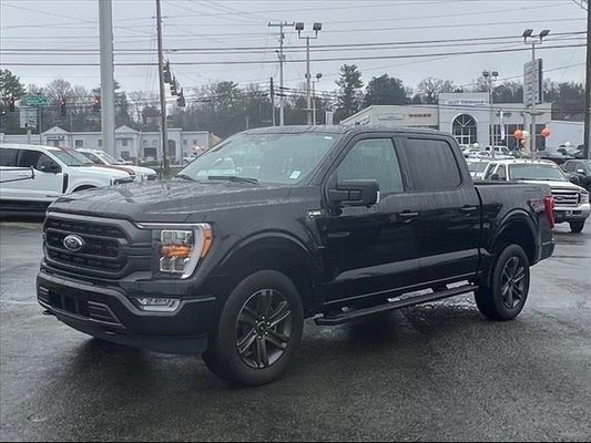 2023 Ford F-150 XLT in Cookeville, TN - Hyundai of Cookeville