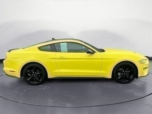 2021 Ford Mustang EcoBoost in Cookeville, TN - Hyundai of Cookeville
